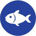 Pescado